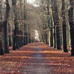 IMG_20151126_142224